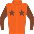 Colours: Orange, Brown Stars & Sleeves