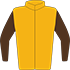 Colours: Gold, Brown Sleeves