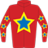 Colours: Red, Blue & Yellow Star, Blue & Yellow Stars on Sleeves