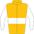 Colours: Gold, White Hoop & Sleeves