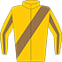 Colours: Gold, Brown Sash, Gold & Brown Striped Sleeves