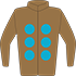 Colours: Brown, Turquoise Spots