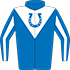 Colours: Royal Blue, Royal Blue Horseshoe on White V Yoke, White Stripe on Sleeves