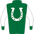 Colours: Green, White Horseshoe & Sleeves, Green Cuffs