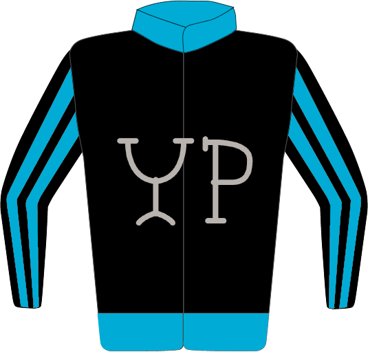Colours: Black, Silver Y P, Turquoise Collar, Black & Turquoise Striped Sleeves
