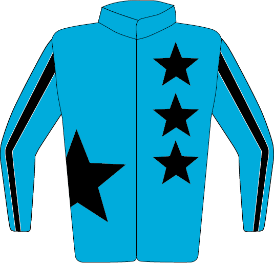 Colours: Turquoise, Black Large Star & Stars, Stripe on Sleeves