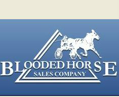Entries Closing for Blooded Horse Winter Sale