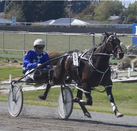 Blow for business looking for expansion