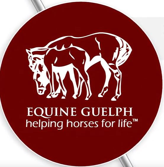 Casting Call for Technical Large Animal Emergency Rescue