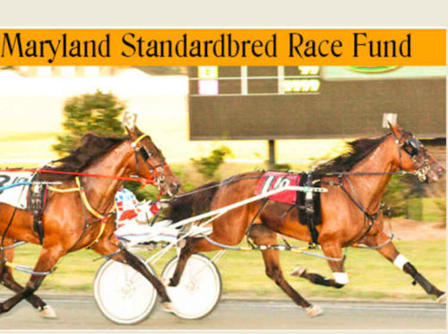 Updates to the 2015 Maryland Stallion roster