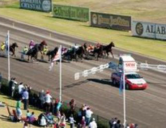 Queenslanders set to invade Menangle