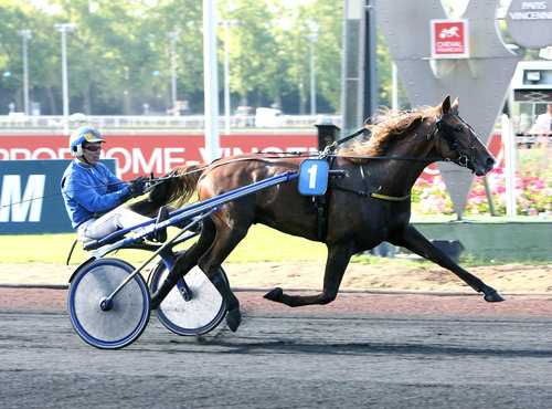 Leading trotting stallions relocate to Queensland