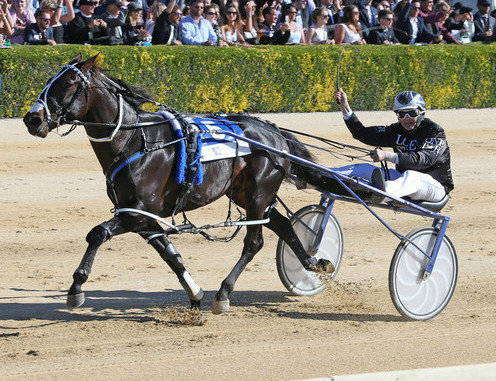 Lazarus sticking to Australasia