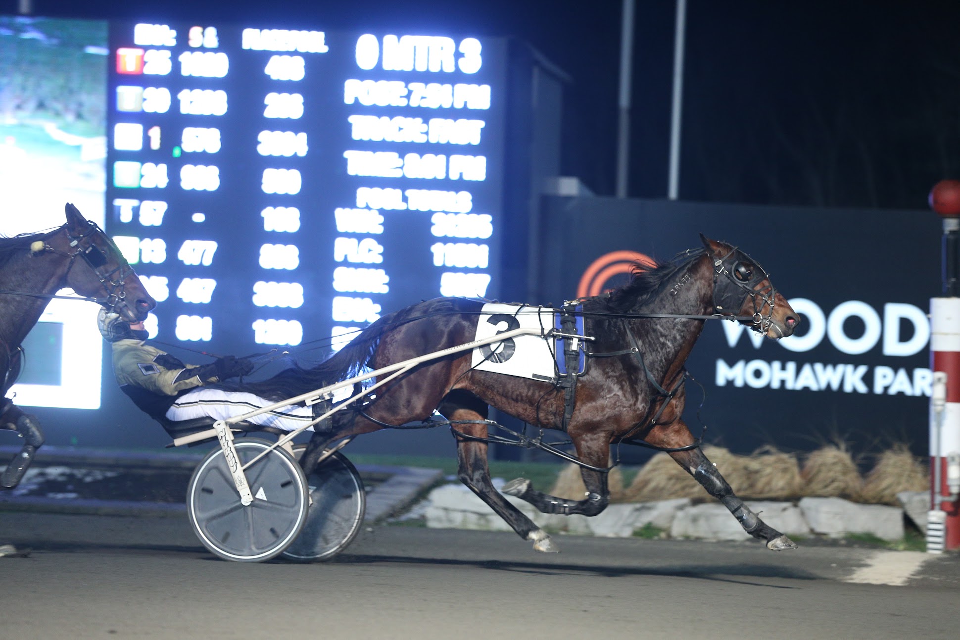 Bee Two Bee best at Charlottetown