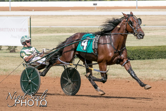Cattlewash breeding donated to HHYF
