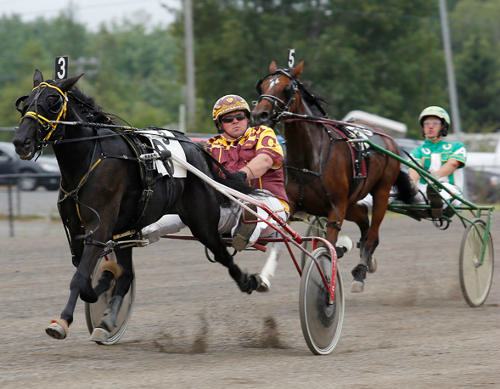 American Flambé sizzling hot in Sire Stakes