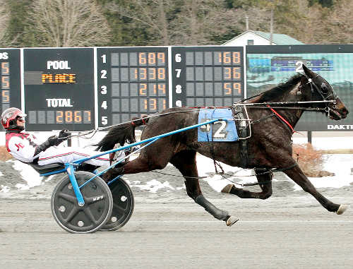 Anja scores second consecutive local win