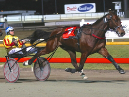 Avonnova returns to racing this weekend