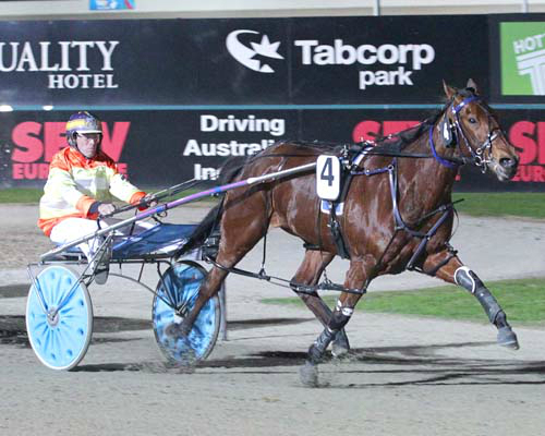 Barynya back to her best in George Johnson