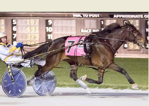 Boli a repeat wwinner in Open Trot