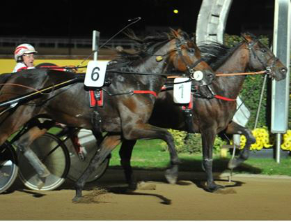 Bronsvlinder wins Prize of the Republic