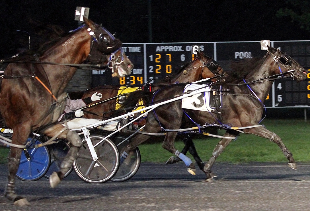 Bye Bye Michelle wins Vernon feature