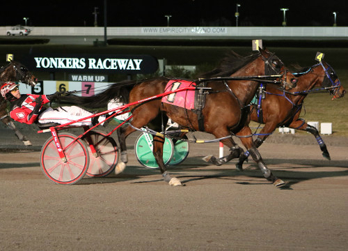 Final Matchmaker and Levy Prelims