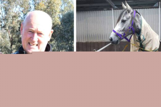 Entertainment line-up for NZ Trotting Cup Day