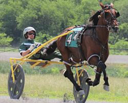 Cattlewash babes burning up the tracks in North America