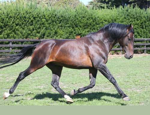 Changeover to Queensland