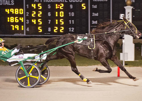 Hoosier hosts opening round of Sires Stakes