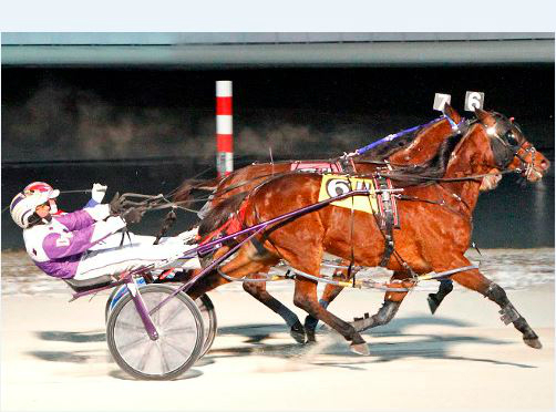 Dabestleaderever runs streak to five