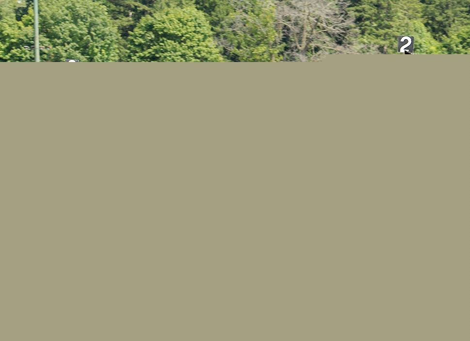 Heidi Rohr-trained Deetzy in fast mile