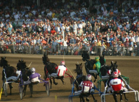 Hunka Hunka, Ebony Dragon star in fifth BSS leg