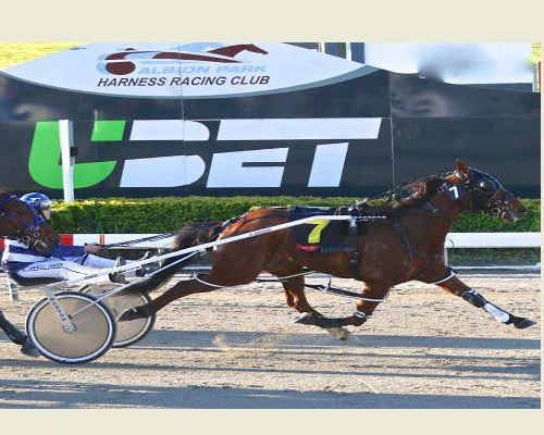 Harness Highlights – Wednesday, 20 September