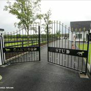 Oakwood Stud partners with onGait for online auction