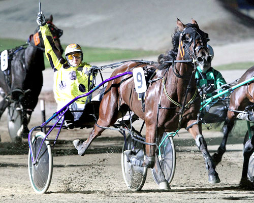 $200,000 Ladyship Mile field