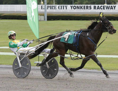 $1.8 New York Day of Champions