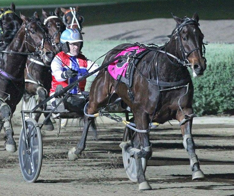 Hectorjayjay’s owners devastated after injury