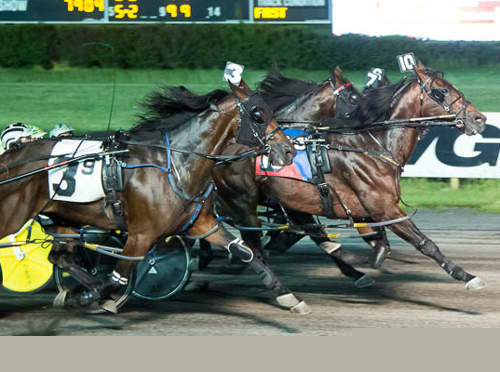 Highalator, Cousin Mary add to long win streaks