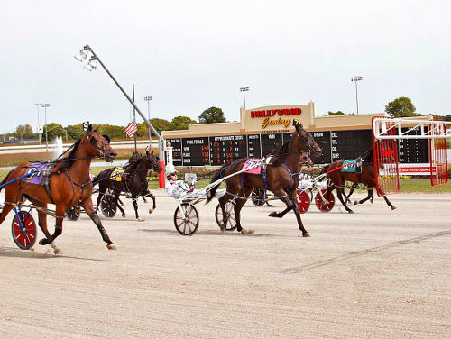 Sure Did and Boomerang highlight Tuesday card