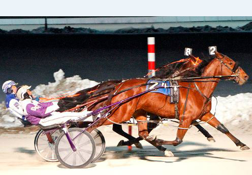 Feelin Friskie lass gets back to winning ways