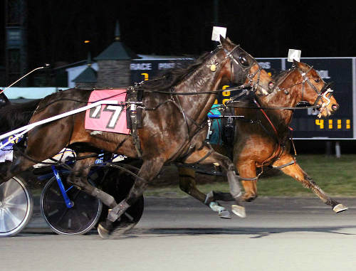 Dave Dewhurst trainee toughs it out
