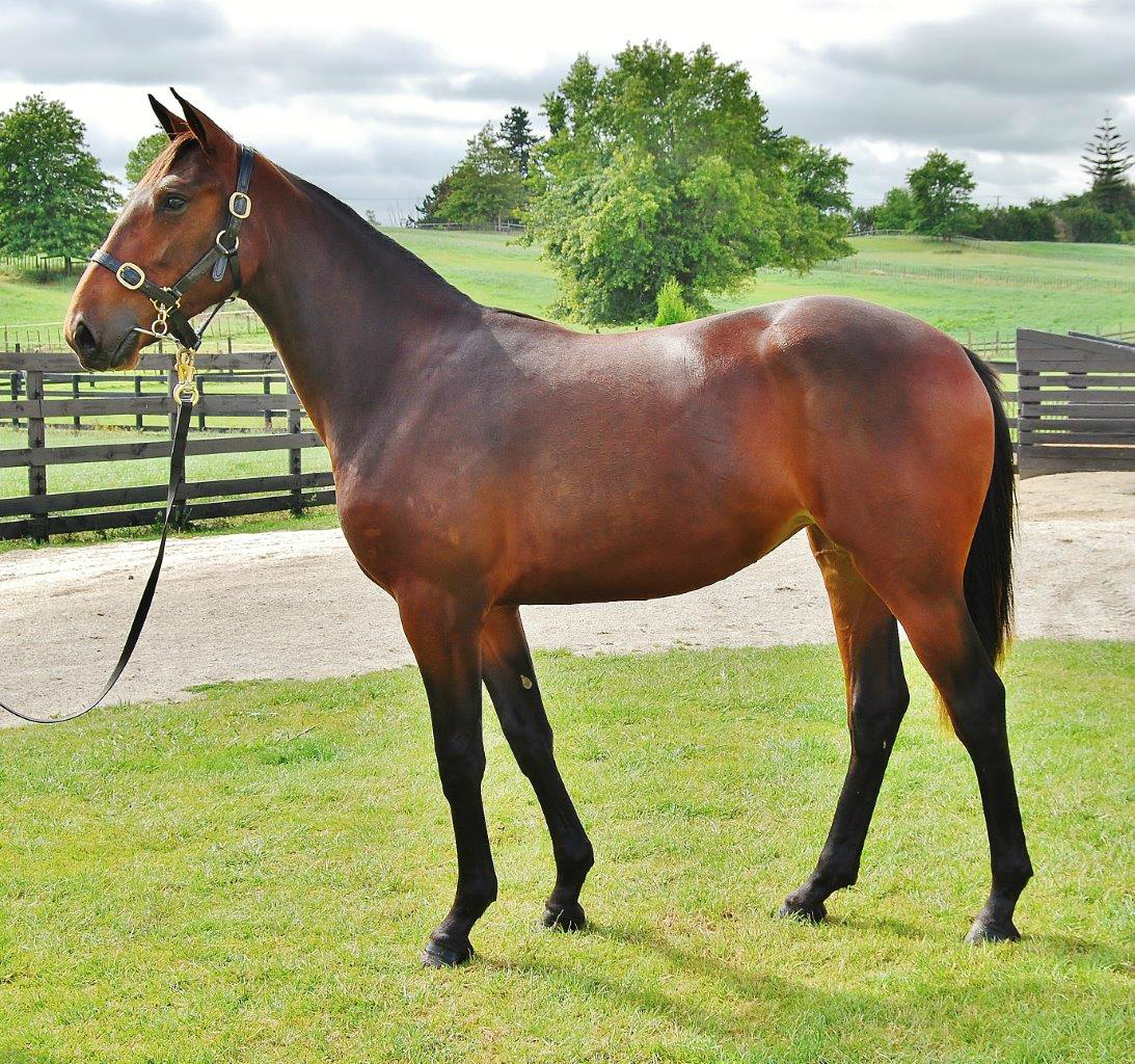 Australasian Classic reaches new heights