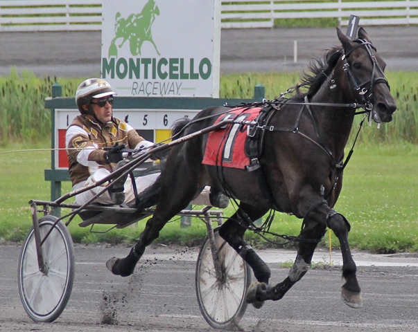 Calabrese dominates from the front in AHDC Trot