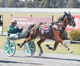 Breeder, trainer, owner applauds Humbo 2017