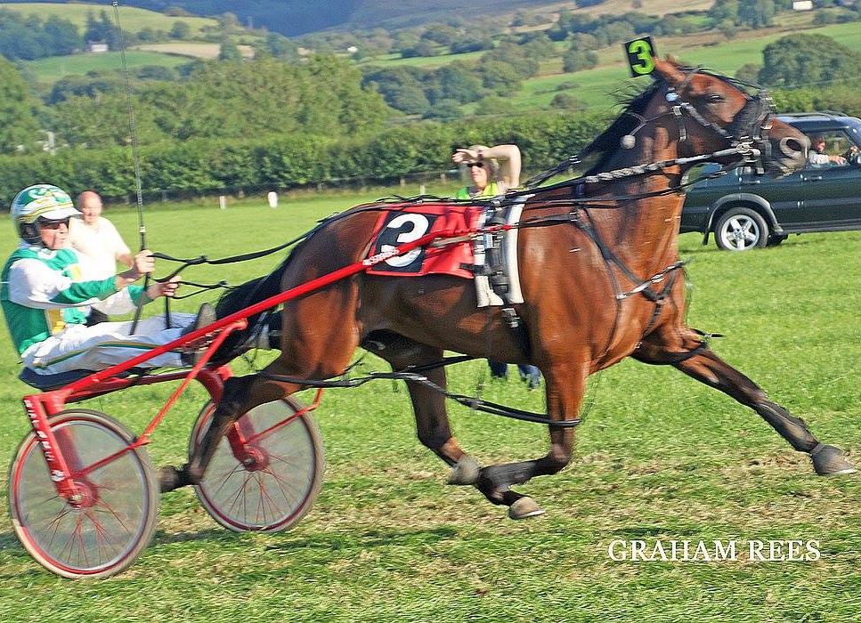 Driver Michael O’Mahony steals the show at Tregaron