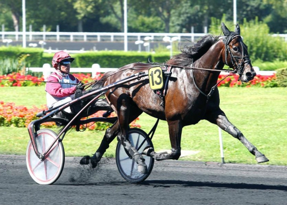 Face Time Bourbon, Walner, Ready Cash progeny at National Yearling Sales