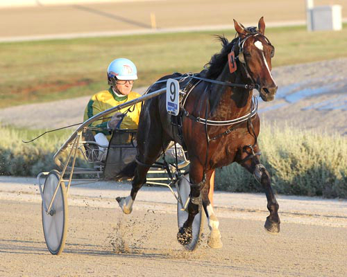 Double shot at back-to-back Hamilton Cups