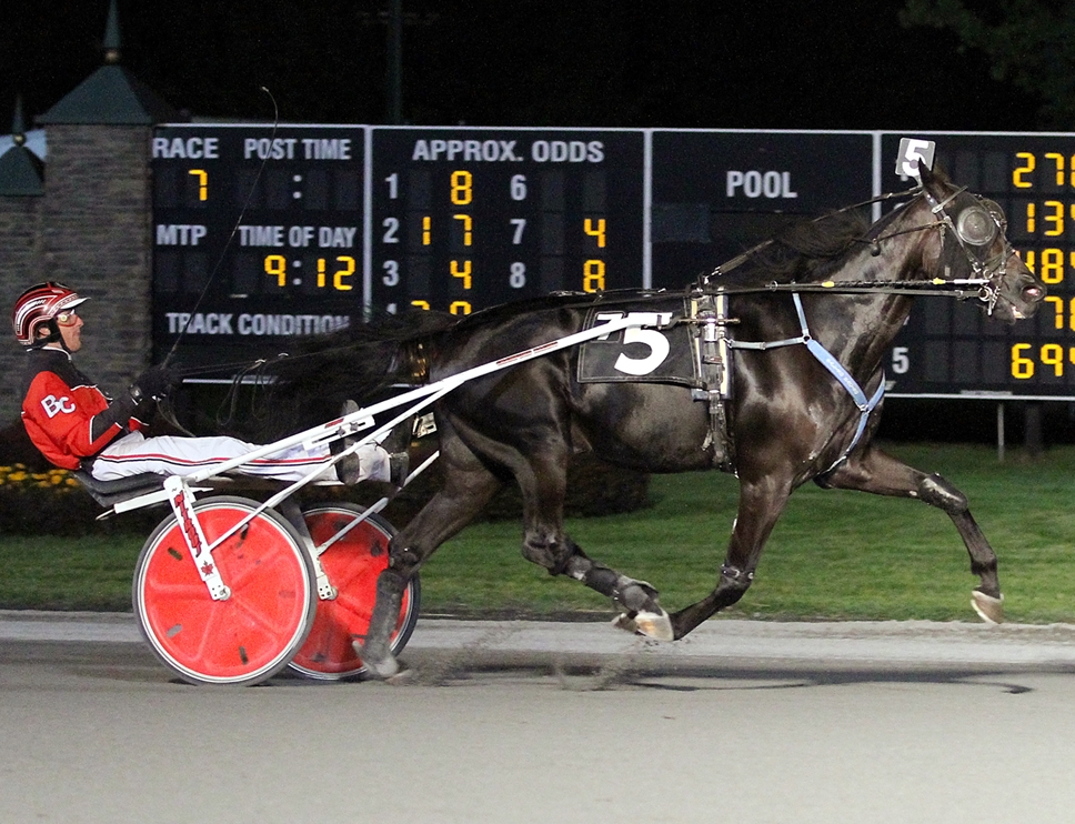 2014 Trotter of the Year scores in Open